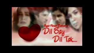 Dilse dil tak PTV home drama Official song SHAAKII [upl. by Formenti825]