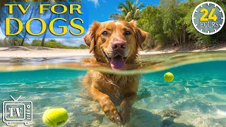 Soothe Dogs Anxiety 24 Hours of Dog TV  Anti Anxiety amp Boredom Busting Videos with Music for Dogs [upl. by Airottiv]