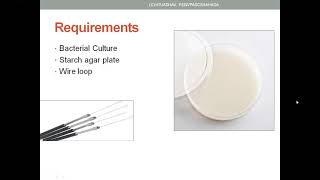 Screening of amylase producing microbesPractical [upl. by Auahsoj]