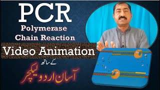 PCR Polymerase Chain Reaction Video Animation Urdu Lecture [upl. by Oiruam]