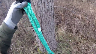 Whoopie Sling Basics  Arborist Rigging [upl. by Gnuhc]