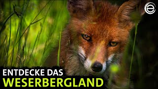 Das Weserbergland ‒ Sagenhaftes Niedersachsen  Erlebnis Erde [upl. by Aniham37]