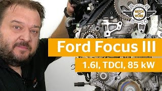 Watch and Work sostituzione della cinghia di distribuzione della Ford Focus III 16 l TDCi 85 kW [upl. by Feldt458]