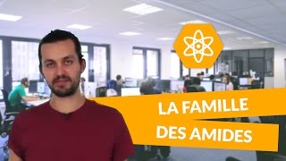 La famille des amides  Physiquechimie  TS  digiSchool [upl. by Kcinom]