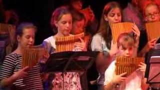 My heart will go on played by Big Pan flute Ensemble [upl. by Rehpotsrhc654]