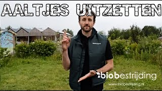 AALTJES INZETTEN HIER DE INSTRUCTIE BIOBESTRIJDING [upl. by Lauer]