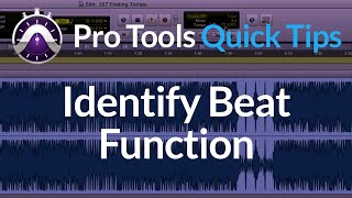 Pro Tools  Quick Tips  Identify Beat Function  Finding Song Tempo [upl. by Malinin]