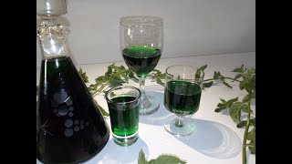 Liker od sveže nane  Fresh mint liqueur liker liqueur svežanana mint kuhinjicamašaija [upl. by Gillman]