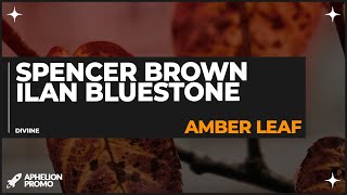 Spencer Brown amp ilan Bluestone  Amber Leaf Extended Mix [upl. by Stanwinn]