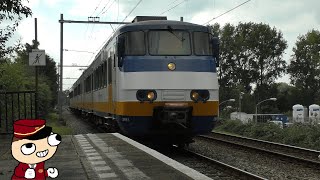 NS  SGMm Sprinters op Schiedam Nieuwland [upl. by Thorma]