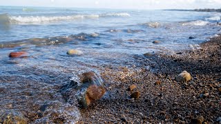 Lakeport State Park  Spring Rock Hunting on Lake Huron [upl. by Sualokin]