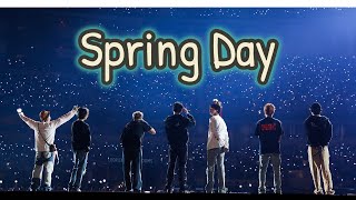 BTS  Spring Day PTD On Stage  Seoul Day 3 [upl. by Lynsey]