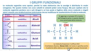 BIOCHIMICA  I gruppi Funzionali [upl. by Evette]