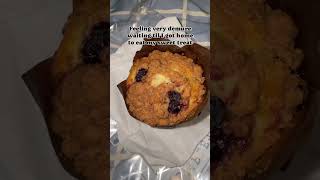 very demure taking home my blueberry muffin from Gasparilla Island Grill at the Grand Floridian [upl. by Druci]