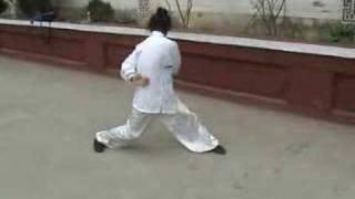 a kung fu masters amazing exercise [upl. by Lanti353]