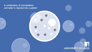 Microbubbles Animation [upl. by Punak]