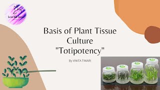 Totipotency of plant cell   1 Plant Tissue Culture [upl. by Philina888]