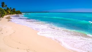 Waves on Saona Island  Relaxing Beach Sounds of the Caribbean Sea For Study Meditation and Sleep [upl. by Suilenrac940]