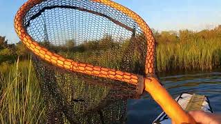 Fishing marsh grass for these TASTEY FISH fishing flounder fishbites [upl. by Hanauq]