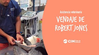 Cómo hacer un vendaje de Robert Jones paso a paso  CIM Formación [upl. by Nangatrad]