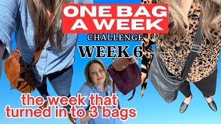 👜 WEEK 6  1 Bag a Week Challenge Surprising Twist 3 Bags in 1 Week 😲✨ [upl. by Yauq]