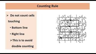 Total Red Blood Cell Count total RBC count by using Hemocytometer  Neubaur chamber [upl. by Elleral]