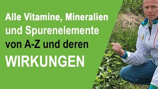 Alle wichtigen Vitamine Mineralien und Spurenelemente von AZ und deren Wirkungen im Überblick [upl. by Alurd]