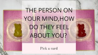 THE PERSON ON YOUR MINDHOW DO THEY FEEL ABOUT YOU💭🤔🥺🔮PICK A CARD 🔮 [upl. by Nyl]