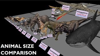 Animal Size Comparison 3D [upl. by Thorman899]