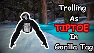 Trolling as TipToe Low Budged [upl. by Waylen]