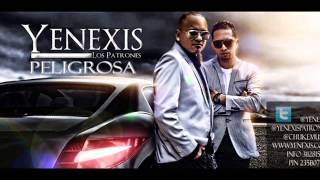 Reggaeton Mix 2015  éxitos Mundiales  PELIGROSA YENEXIS  regeton  mix 2014 nuevo [upl. by Dilly]