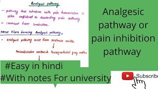 Analgesic pathway Pain inhibition pathway [upl. by Aiym]