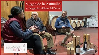 Una de las 10 bodegas fundadoras de la RIBERA DEL DUERO Entrevista en Virgen de la Asunción 🍷​🍇​ [upl. by Rusert]