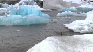 Wim Hof The Iceman [upl. by Heindrick]