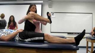 CSUF D1D2 flexionextension [upl. by George866]