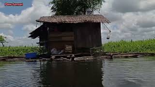 Agusan Marsh Wildlife Sanctuary Featuring Sitio Panlabuhan quotThe Floating Villagequot [upl. by Alokin643]