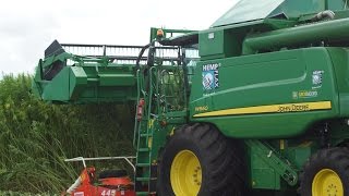 John Deere W660 HempFlax Double cut combine Vezelhennep combinen Trekkerweb hanf cannabis [upl. by Eneri]