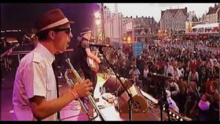 DINAMO Latin SKA  NITE KLUB  Cover from THE SPECIALS Live in Belgium [upl. by Uamak]