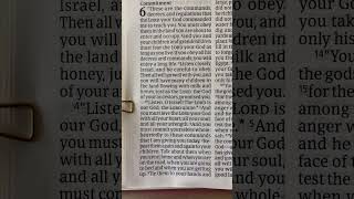 Deuteronomy 649 — Holy Bible  NLT  DaySpring Jesus [upl. by Wertheimer]