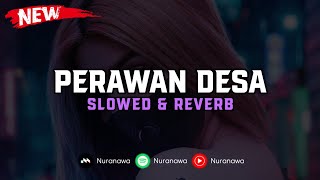 DJ Perawan Desa  Slowed amp Reverb  🎧 [upl. by Adnovad]