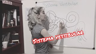 Sistema Vestibular  Resumo da anatomia fisiologia e função do Sistema Vestibular Periférico [upl. by Ateekal]