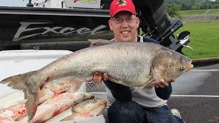 Fishing for Asian carp  How to catch bighead carp Cooking silver carp [upl. by Aymik]