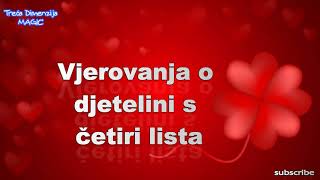 Vjerovanja o djetelini s četiri lista  Srećonoša [upl. by Enotna]