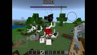 Dinnerbone warden vs Dinnerbone wither who will win [upl. by Aciretahs]