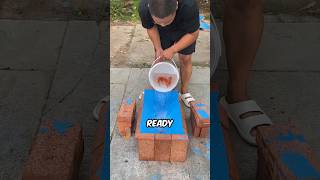 Guy Builds a Swimming Pool for Fish 🐟 [upl. by Airetal]