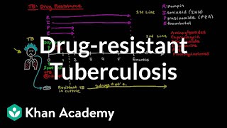 Drugresistant TB  Infectious diseases  NCLEXRN  Khan Academy [upl. by Alleynad]