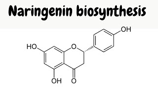 Biosynthesis of naringenin  mechanisms [upl. by Ycnaf719]