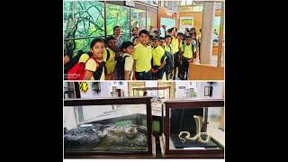 Grade 5 field trip [upl. by Nilok]