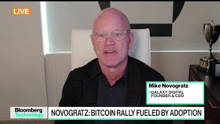 Novogratz Says Bitcoin Participation Is Just Starting [upl. by Ynelram]