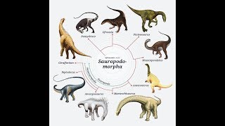 Sauropodomorpha [upl. by Hna628]